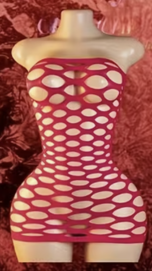 Scarlet Temptation Mesh Mini Dress